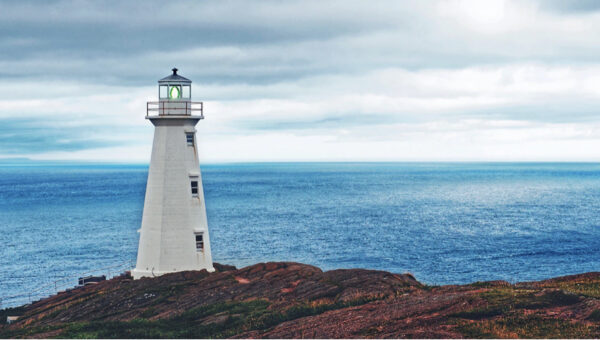 Trust o società semplice per gestire patrimonio familiare secondo lo Studio Gazzani